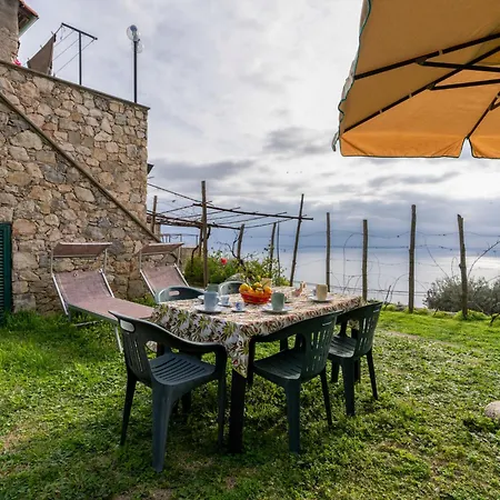 Taggiasca - Flg146 By Interhome Apartment *
